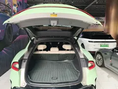 2025 Xiaomi YU7 4WD Max, зелёный — фото 19
