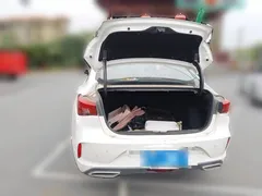 2021 Changan Eado PLUS Blue Whale NE 1.4T GDI DCT Premium, белый — фото 10