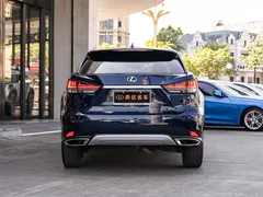 2020 Lexus RX 300 4WD Elegant, синий — фото 5