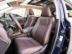 2020 Lexus RX 300 4WD Elegant, синий — фото 11