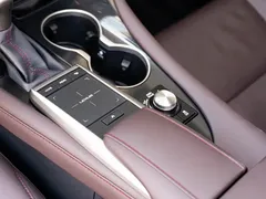 2020 Lexus RX 300 4WD Elegant, синий — фото 18