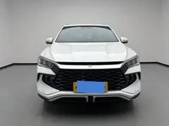 2023 BYD Song Pro DM-i PHEV 110KM Champion, белый — фото 2
