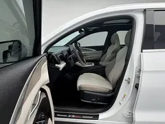 2023 BYD Song Pro DM-i PHEV 110KM Champion, белый — фото 14