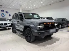 2021 Tank 300 Off-road 2.0T Conqueror — фото 4