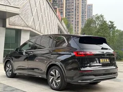 2020 Volkswagen Viloran 330TSI Luxury, чёрный — фото 6