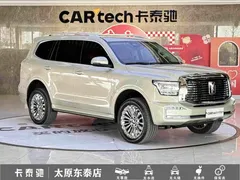 2022 Tank 500 3.0T Business 5-seat — фото 3