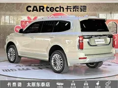 2022 Tank 500 3.0T Business 5-seat — фото 6