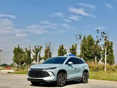 2024 BYD Song L PHEV 112km — фото 1
