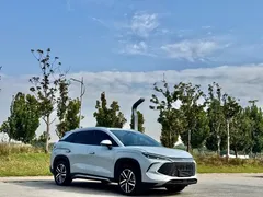 2024 BYD Song L PHEV 112km — фото 3