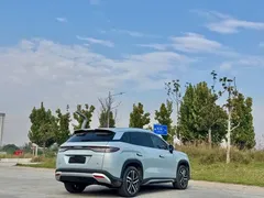2024 BYD Song L PHEV 112km — фото 7