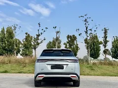 2024 BYD Song L PHEV 112km — фото 8