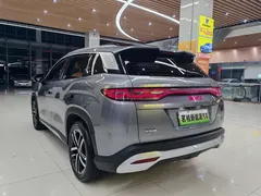 2024 BYD Song L PHEV 112km Leading — фото 13