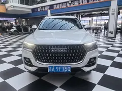 2023 Haval H6 1.5T AT Guochao Urban, белый — фото 2