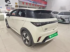 2023 BYD Dolphin 420km Fashion — фото 5