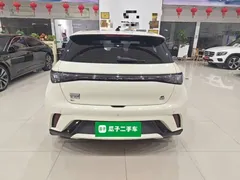 2023 BYD Dolphin 420km Fashion — фото 6