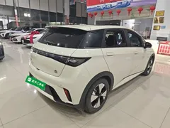 2023 BYD Dolphin 420km Fashion — фото 7