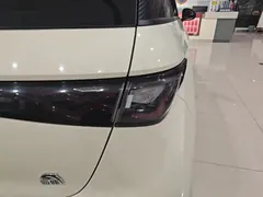 2023 BYD Dolphin 420km Fashion — фото 8
