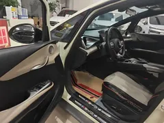2023 BYD Dolphin 420km Fashion — фото 16