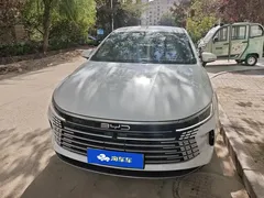 2024 BYD Destroyer 05 DM-i PHEV 55km Luxury, белый — фото 2