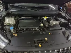 2021 Haval Chitu 1.5T, чёрный — фото 20