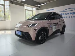 2025 BYD Seagull EV 405km Flying — фото 1