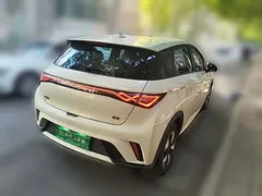 2025 BYD Dolphin 420km Freedom — фото 4