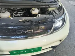 2025 BYD Dolphin 420km Freedom — фото 22