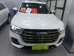 2021 Haval H6 1.5GDIT AT Guochao Champion, белый — фото 3