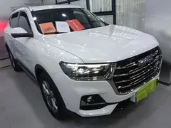 2021 Haval H6 1.5GDIT AT Guochao Champion, белый — фото 4