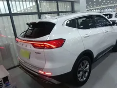 2021 Haval H6 1.5GDIT AT Guochao Champion, белый — фото 6