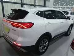 2021 Haval H6 1.5GDIT AT Guochao Champion, белый — фото 7