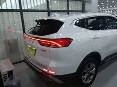 2021 Haval H6 1.5GDIT AT Guochao Champion, белый — фото 8
