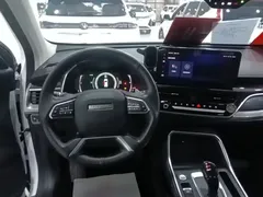 2021 Haval H6 1.5GDIT AT Guochao Champion, белый — фото 11