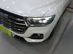 2021 Haval H6 1.5GDIT AT Guochao Champion, белый — фото 24