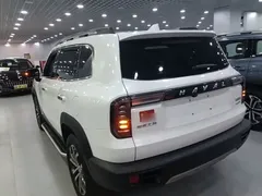 2022 Haval Dargo 1.5T DCT 2WD, белый — фото 5