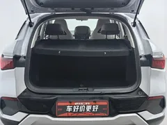 2023 BYD Yuan PLUS Champion 510km Leading, белый — фото 16