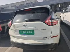 2021 Nissan Murano 2.5L XL 2WD Luxury, белый — фото 6