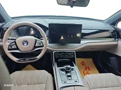 2025 BYD Tang DM-i PHEV 115km Premium — фото 5