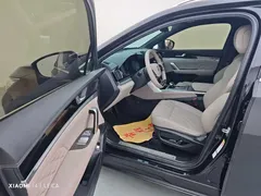 2025 BYD Tang DM-i PHEV 115km Premium — фото 6