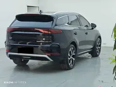 2025 BYD Tang DM-i PHEV 115km Premium — фото 7