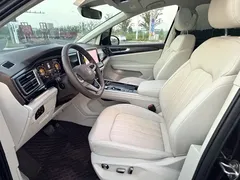 2023 Volkswagen Viloran 330TSI Luxury — фото 4