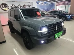 2021 Tank 300 Off-road 2.0T Conqueror — фото 4
