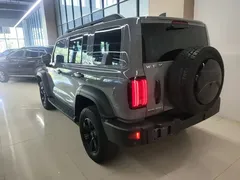 2021 Tank 300 Off-road 2.0T Conqueror — фото 5