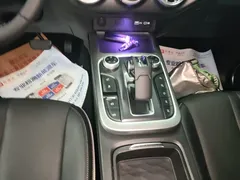 2021 Tank 300 Off-road 2.0T Conqueror — фото 14