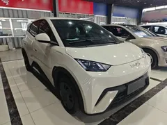 2024 BYD Seagull Honor 305km Vitality, белый — фото 4