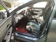 2025 BYD Qin PLUS EV Smart Driving 420km Leading — фото 16