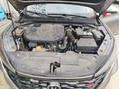 2021 Changan Eado PLUS Blue Whale NE 1.4T GDI DCT Premium — фото 20