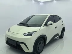 2024 BYD Seagull Honor 305km Vitality, белый — фото 1