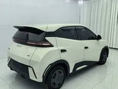 2024 BYD Seagull Honor 305km Vitality, белый — фото 4