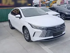 2024 BYD Destroyer 05 DM-i PHEV 55km Luxury, белый — фото 4